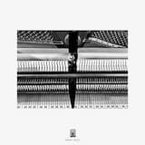 Paper Piano, Imperfect Moments, Pt. 2