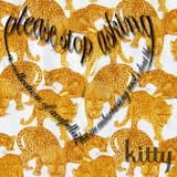 accordion (vocal track)