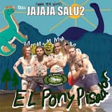 Kevin, el koala professor de física quàntica