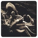 My Stove, Two Pair Pants