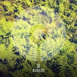 Shadow Play (After Dark reprise)