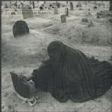 Translator of Gujurati