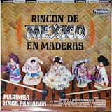 La tortuga del arenal