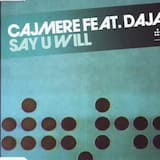 Say U Will (Touché remix)