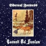 Un'armatura Splendente Sotto La Luna D'argento