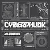 Wrong Computing (VIP)