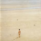 Les gardes volent au secours du roi