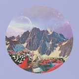 As Birds Find Their Way Home