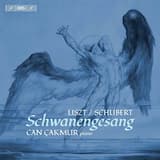 Schwanengesang, S. 560 (After Schubert's D. 957): No. 14, Kriegers Ahnung