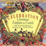 De Virgin Mary had a Baby Boy