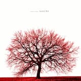 Nocturne on Ganimede