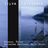 Double Bass Concerto "Farewell to St Petersburg"