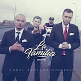 Portret De Politician