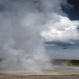 Because of All You Want (reprise)