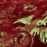 Diving Into the Wreck