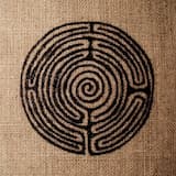 Болотными тропами