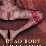 A Constellation Of Scars