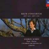 Concerto No. 2 E-Dur, BWV 1053: I. Allegro