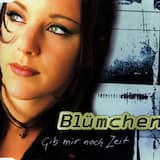 Gib mir noch Zeit („Trommel & Bass in der Luft‟ mix)