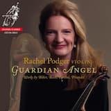 Sonata in B minor, No. 13, B:h1: II. Allegro assai