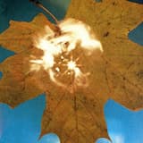 How Are You / Como é que vai você