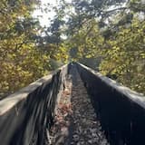 Dreams of Trespassing