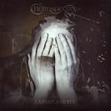 In the Middle of the Forest