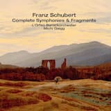 Sinfonie Nr. 4 c-Moll, D 417 »Tragische«: Andante