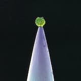 Intruder (instrumental)