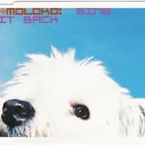 Sing It Back (Boris Musical mix)