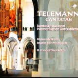 Harmonischer Gottes-Dienst, No. 36: Stille die Tränen des winselnden Armen, TWV 1:1401