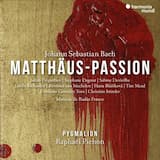 Matthäus-Passion, BWV 244, Seconda parte: 47. Der Landpfleger sagte (Evangelista, Pilatus)
