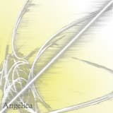 Glorious Wing (Use Extend Code RMX)