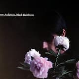 In the House of Numbers