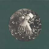 Blue Bonnet of the Seven Stars