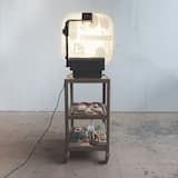 Snuck Inside the Fence