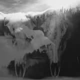 Libations at the Roots of the Blood Tree