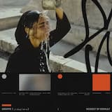 你脚踝上的金子