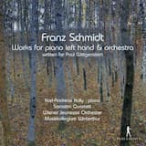 Quintet in D major for Piano (Left Hand), Two Violins, Viola & Cello: 1. Lebhaft, doch nicht zu schnell