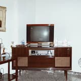 Ο μπάσταρδος γιος