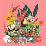 Flight to the Jungle (Take Off)