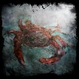 Ouverture - Ode to a Stranger