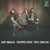 Sonata for Violin and Piano, op. 34: III. Largo con dolore