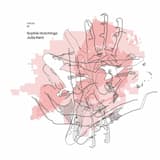 When the Shadows See