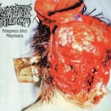 Recessive Dystrophic Epidermolysis Bullosa