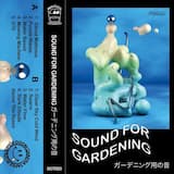 Dark Clouds Above The Roses