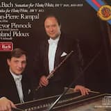 Sonata for Flute and Basso Continuo in E minor, BWV 1034: I. Adagio ma non tanto