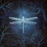 Fairyland (20th Anniversary Edition)