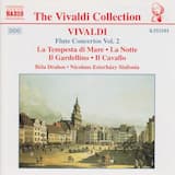 Recorder Concerto in C minor, RV 441: III. Allegro