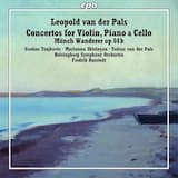 Concertino for Cello and Orchestra, op. 108: II. Adagio